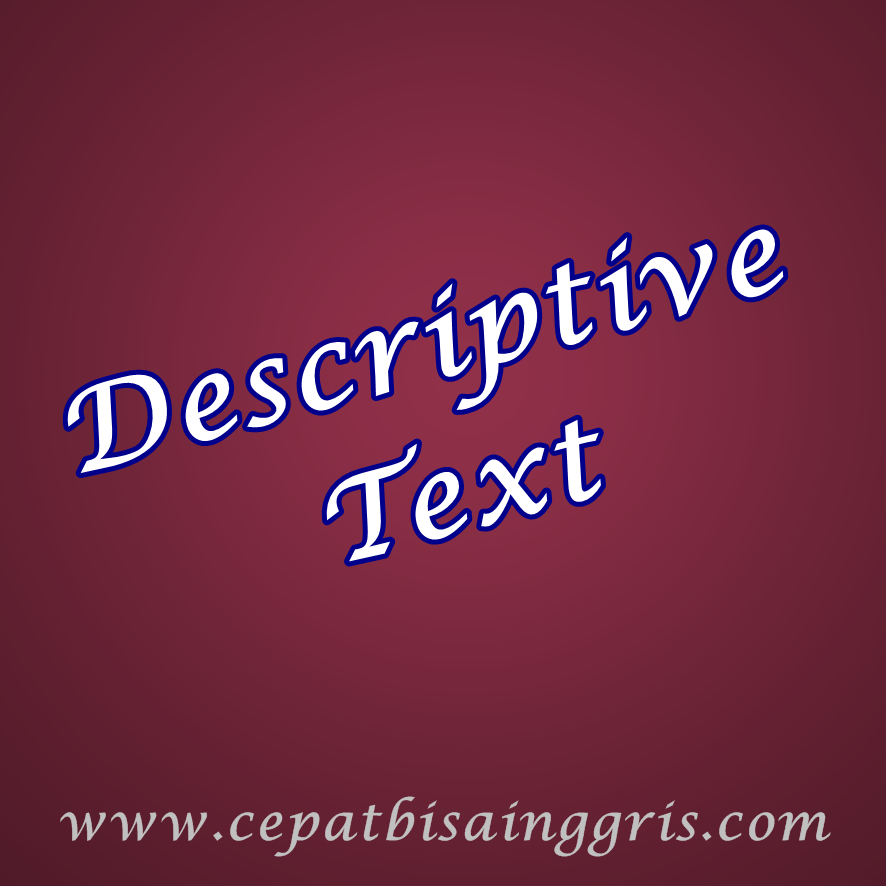 Pengertian dan Contoh Descriptive Text